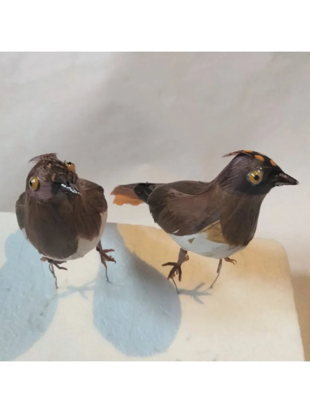 Decorative Tufted Birds Brown Orange Feathers Realistic Craft Display Lot 2